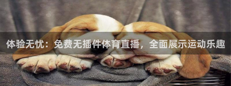 体验无忧：免费无插件体育直播，全面展示运动乐趣