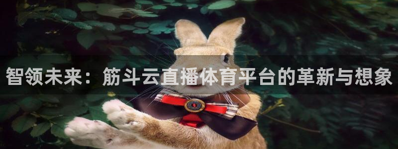 智领未来：筋斗云直播体育平台的革新与想象