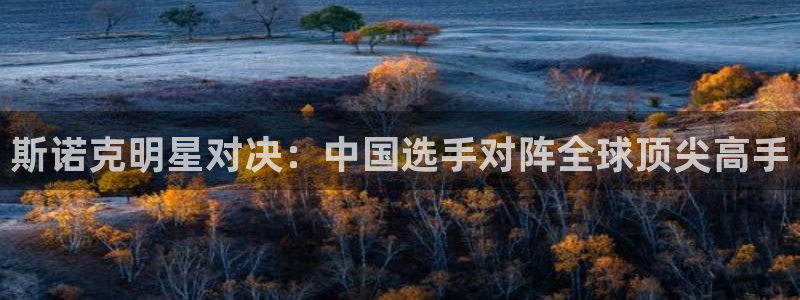 斯诺克明星对决：中国选手对阵全球顶尖高手