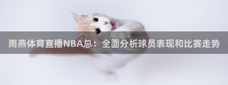 雨燕体育直播NBA总：全面分析球员表现和比赛走势
