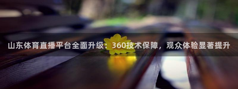 山东体育直播平台全面升级：360技术保障，观众体验显著提升