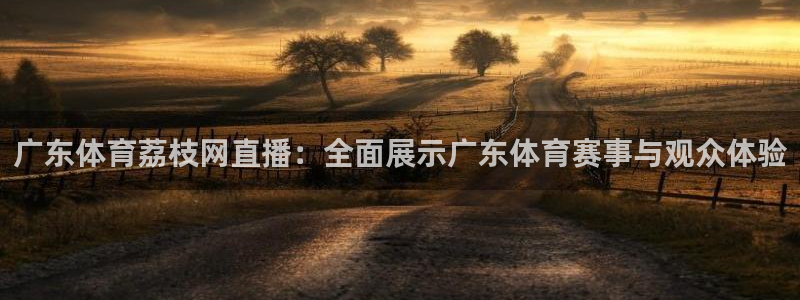 广东体育荔枝网直播：全面展示广东体育赛事与观众体验