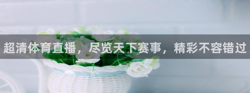 超清体育直播，尽览天下赛事，精彩不容错过