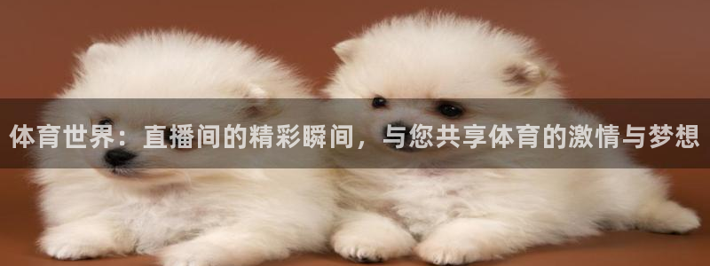 体育世界：直播间的精彩瞬间，与您共享体育的激情与梦想