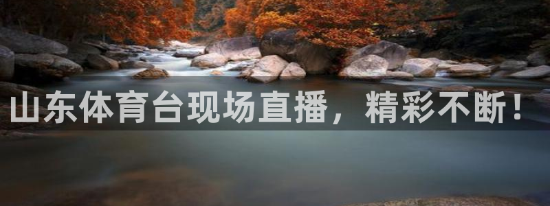 山东体育台现场直播，精彩不断！