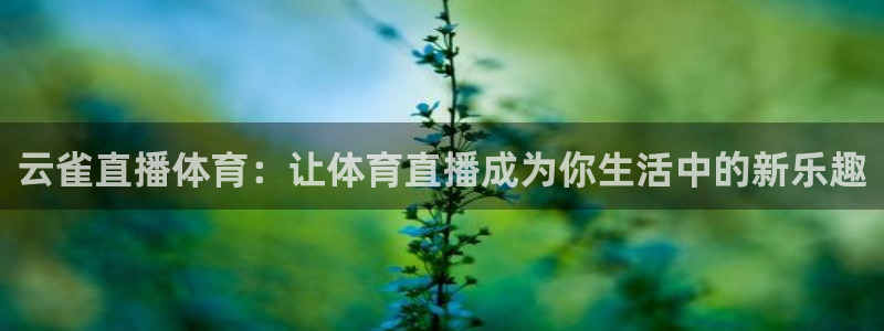 云雀直播体育：让体育直播成为你生活中的新乐趣