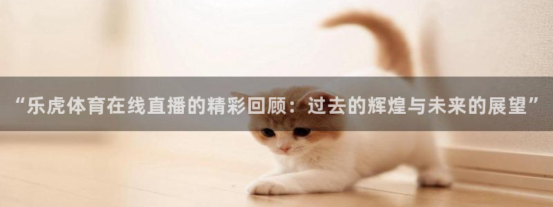 “乐虎体育在线直播的精彩回顾：过去的辉煌与未来的展望”