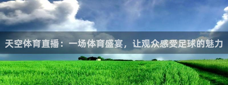 天空体育直播：一场体育盛宴，让观众感受足球的魅力