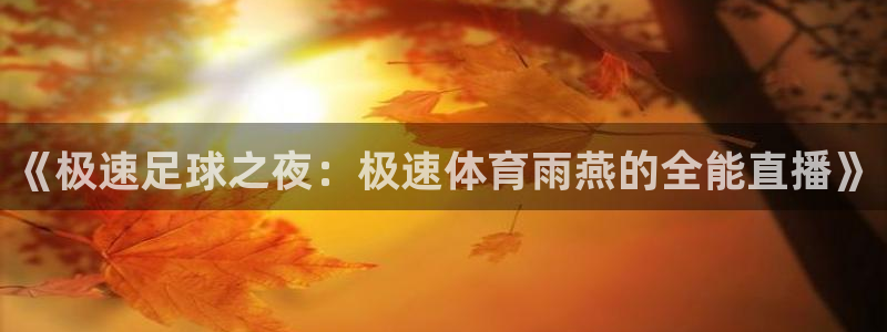 《极速足球之夜：极速体育雨燕的全能直播》