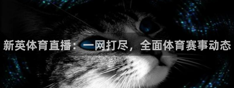 新英体育直播：一网打尽，全面体育赛事动态