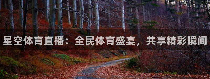 星空体育直播：全民体育盛宴，共享精彩瞬间