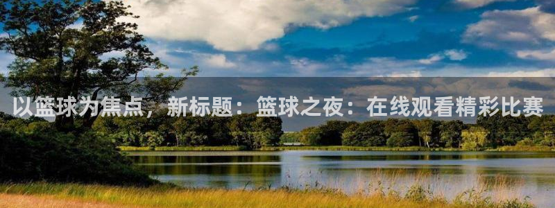 以篮球为焦点，新标题：篮球之夜：在线观看精彩比赛
