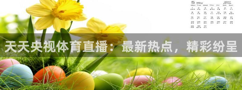 天天央视体育直播：最新热点，精彩纷呈
