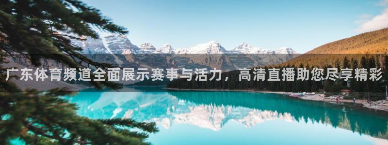广东体育频道全面展示赛事与活力，高清直播助您尽享精彩