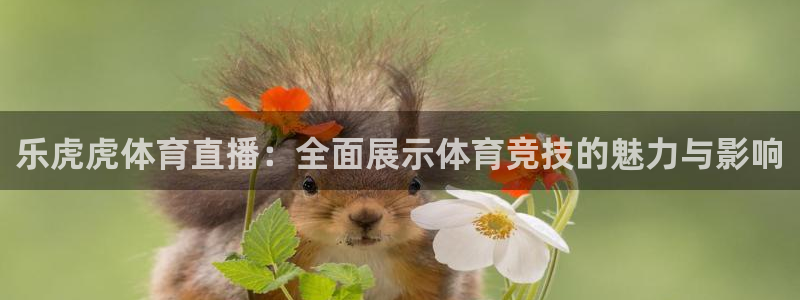 乐虎虎体育直播：全面展示体育竞技的魅力与影响