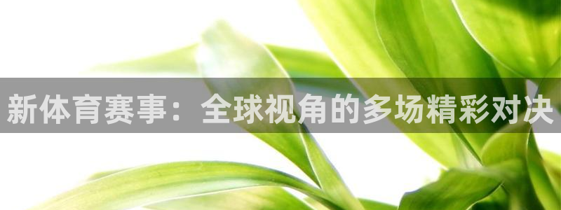 新体育赛事：全球视角的多场精彩对决