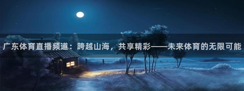 广东体育直播频道：跨越山海，共享精彩——未来体育的无限可能